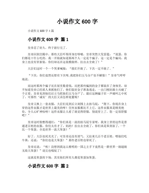 小说作文600字