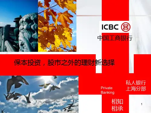 中国工商银行财富管理研究报告PPT课件