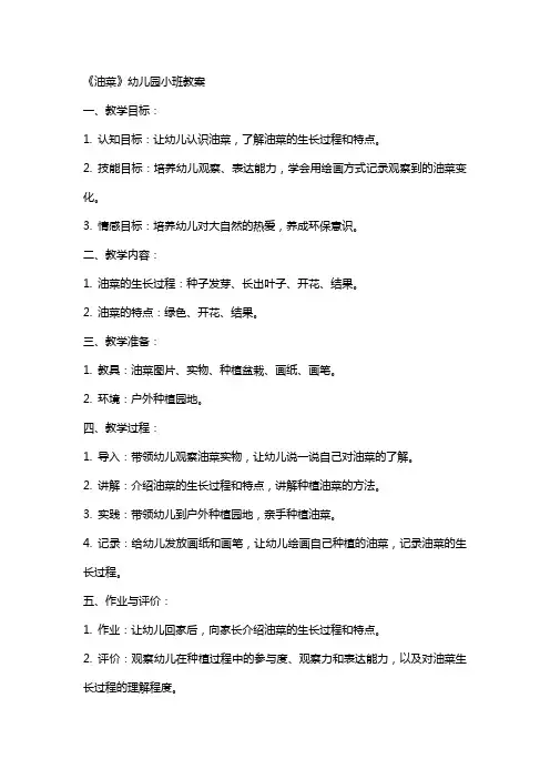 《油菜》幼儿园小班教案