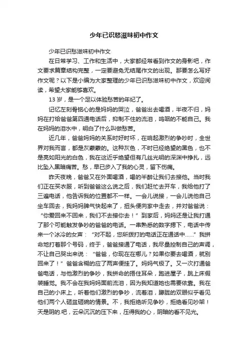 少年已识愁滋味初中作文