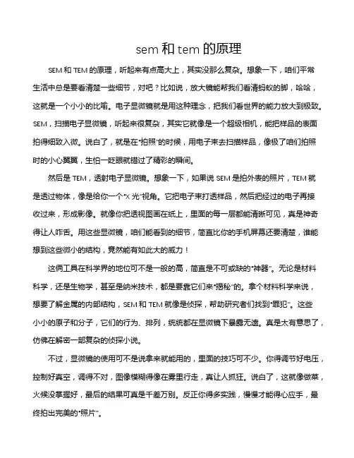 sem和tem的原理