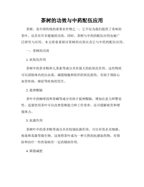 茶树的功效与中药配伍应用