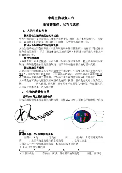 中考生物生物的生殖、发育与遗传复习要点