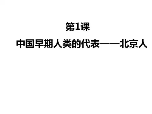 部编人教版七年级上册历史课件第1课 中国早期人类的代表——北京人 (共18张PPT)