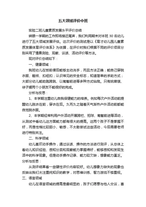 五大领域评价中班