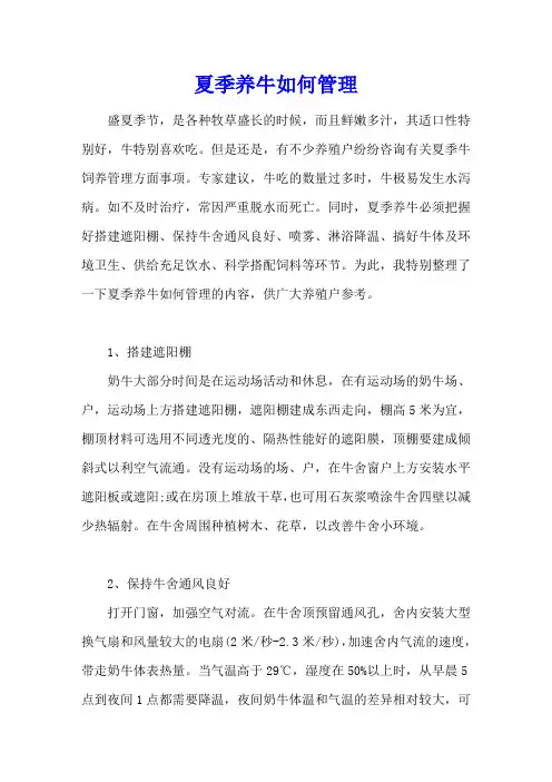 夏季养牛如何管理