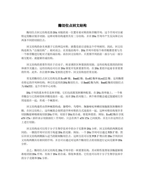 酶切位点回文结构