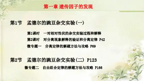 新教材人教版高中生物必修2 第1章 遗传因子的发现 精品教学课件(含专题课,共183页)