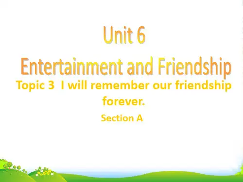 仁爱版九年级英语下册Unit6 Topic 3 Section A优质课课件(21张)