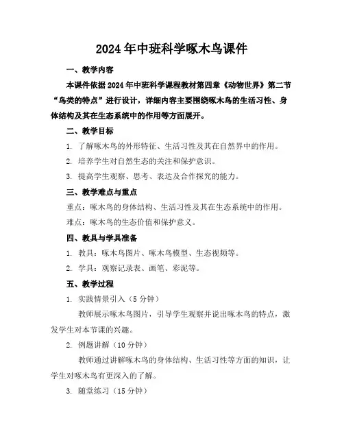 2024年中班科学啄木鸟课件