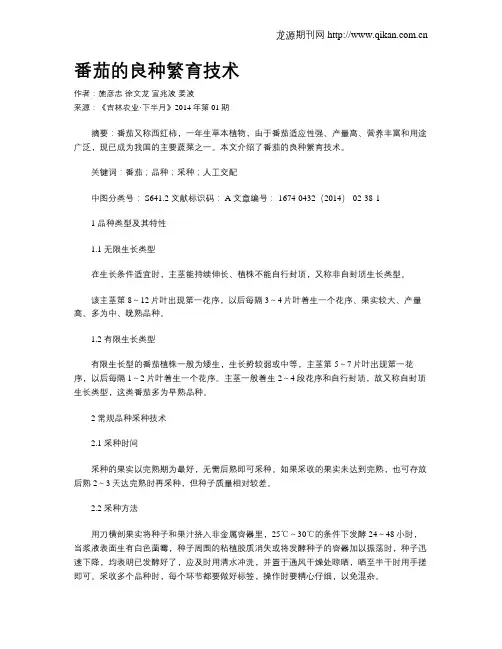 番茄的良种繁育技术