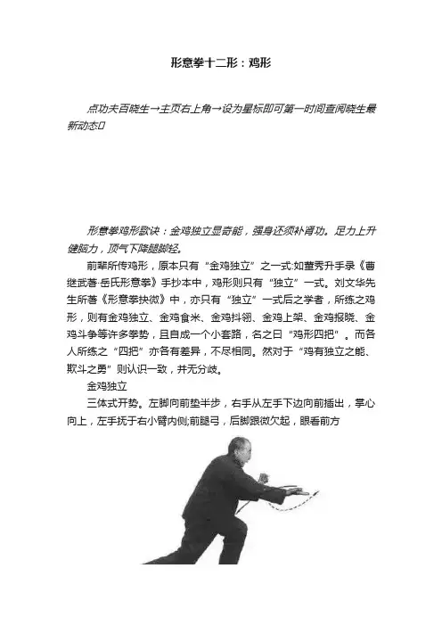 形意拳十二形：鸡形