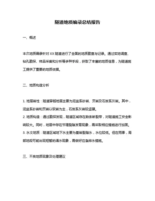 隧道地质编录总结报告