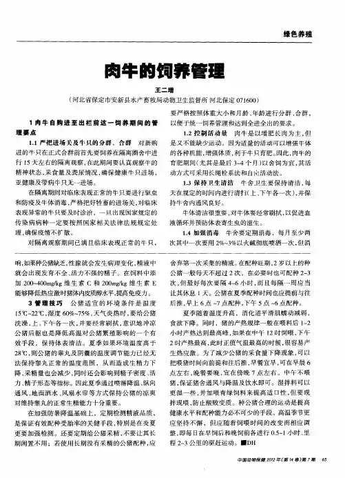 肉牛的饲养管理