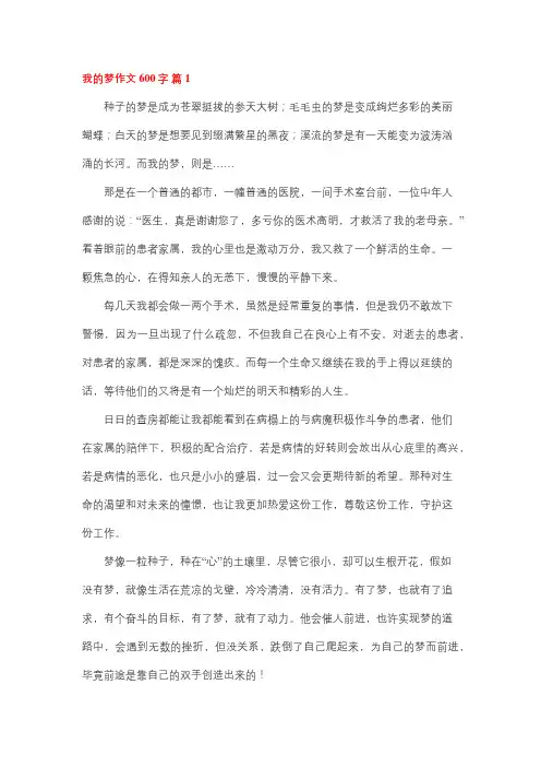我的梦作文600字高中生