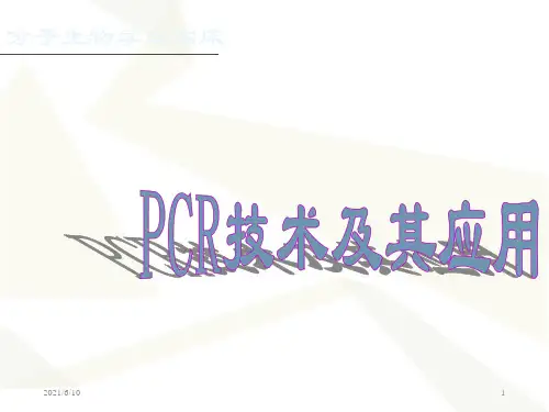 《PCR技术及应用》PPT课件
