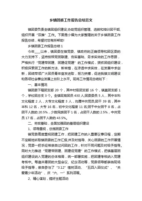 乡镇团委工作报告总结范文