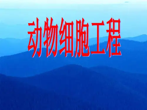 人教版教学课件动物细胞工程课件