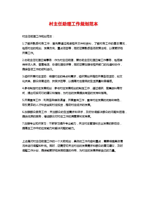 村主任助理工作规划范本