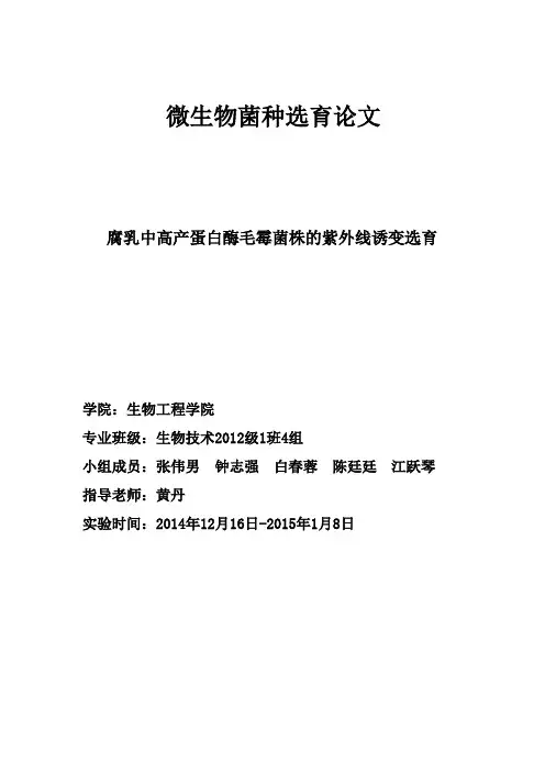 腐乳中高产蛋白酶毛霉菌株的紫外线诱变选育-毛霉诱变