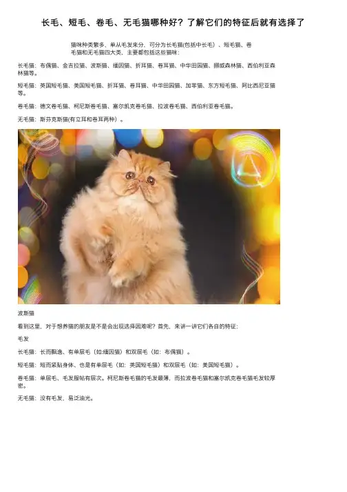 长毛、短毛、卷毛、无毛猫哪种好？了解它们的特征后就有选择了