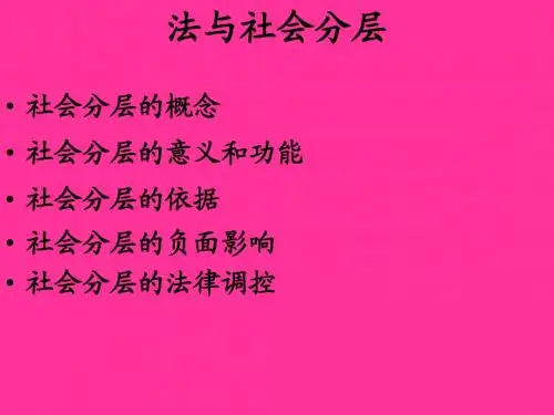 法与社会分层