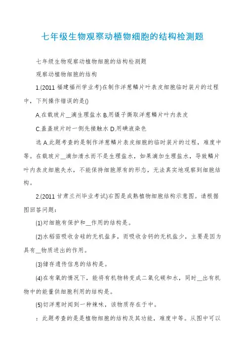 七年级生物观察动植物细胞的结构检测题