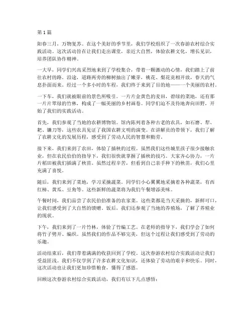 春游农村综合实践活动作文(3篇)