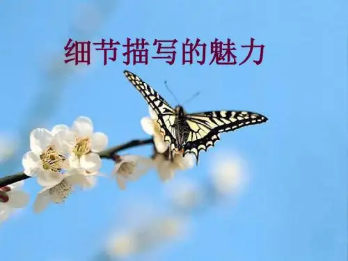 初中作文指导：《细节描写的魅力》PPT(1)