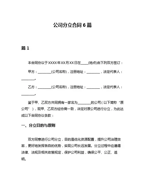 公司分立合同6篇