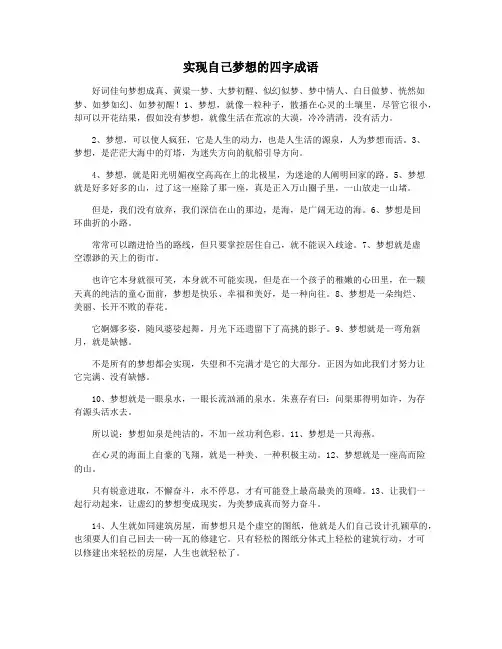 实现自己梦想的四字成语