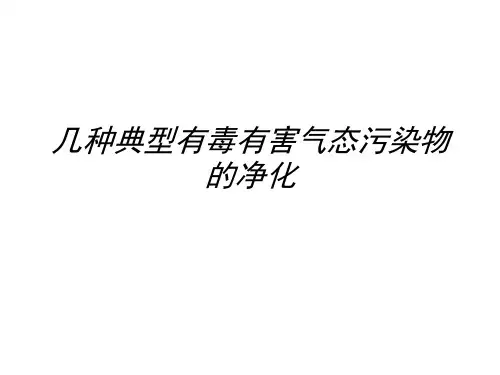几种典型有毒有害气态污染物的净化演示精品PPT课件