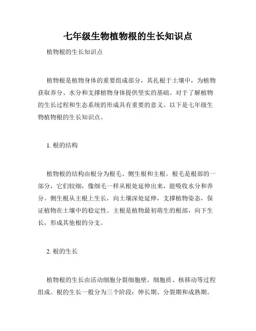 七年级生物植物根的生长知识点