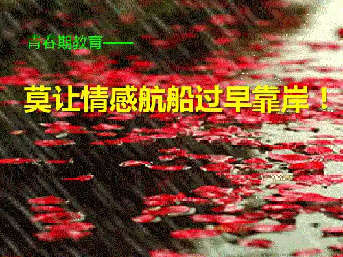 健康主题班会课件 莫让情感航船过早靠岸!