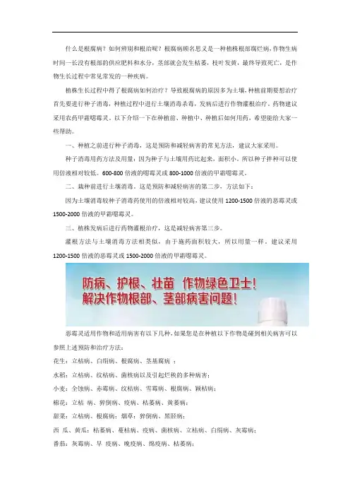 恶霉灵(恶霉灵)能治理根腐病吗？