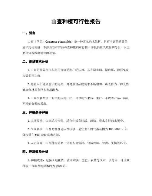 山楂种植可行性报告