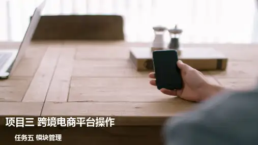 跨境电商平台操作模块管理
