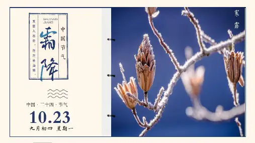 霜降二十四节气介绍之主题班会PPT课件