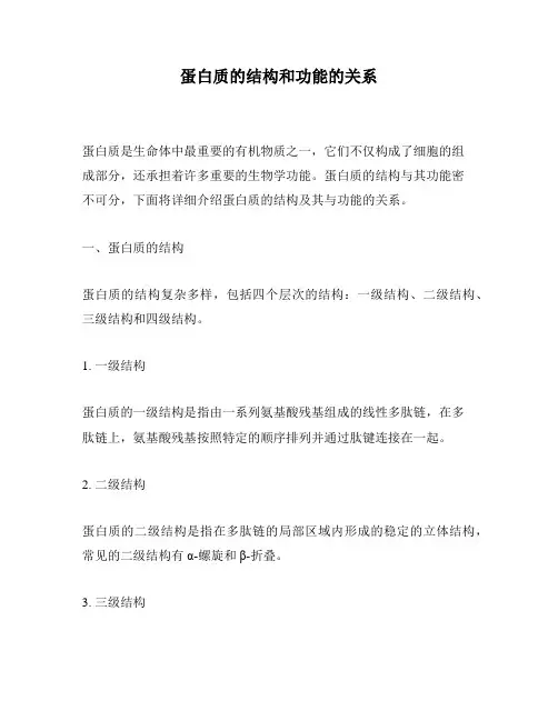 蛋白质的结构和功能的关系