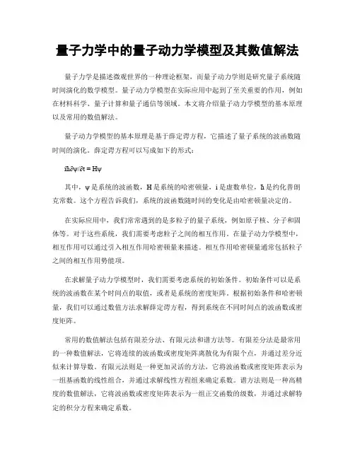 量子力学中的量子动力学模型及其数值解法