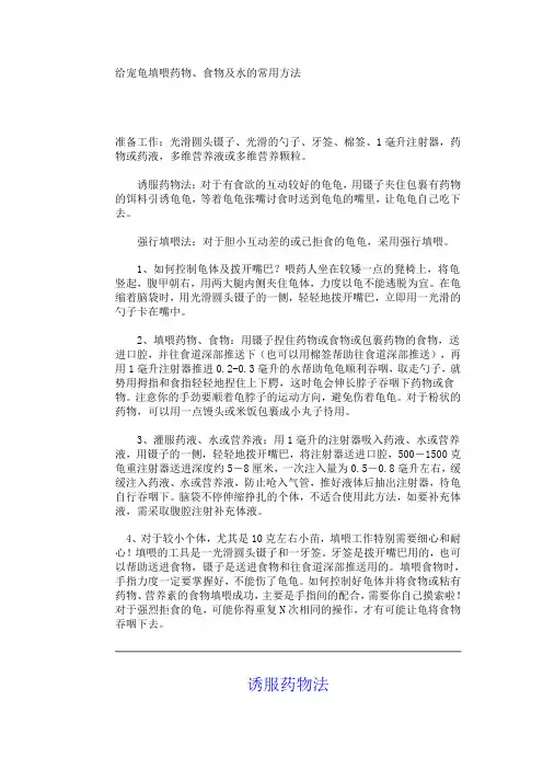给宠龟填喂药物