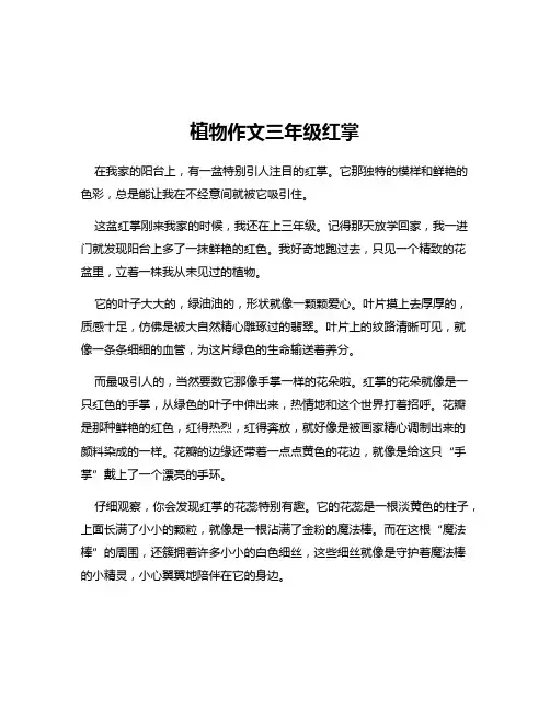 植物作文三年级红掌