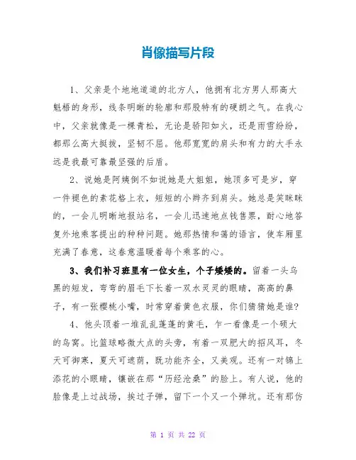 肖像描写片段