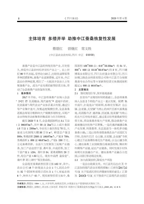 主体培育 多措并举 助推中江蚕桑恢复性发展