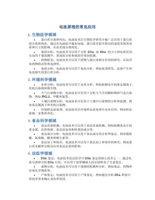 电泳原理的常见应用