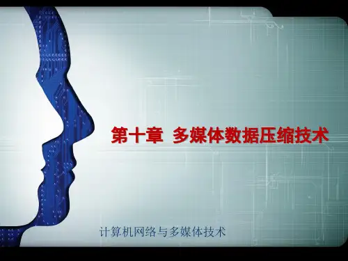 音频数据的压缩