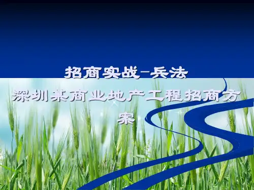 商业地产项目招商经典案例分析幻灯片PPT