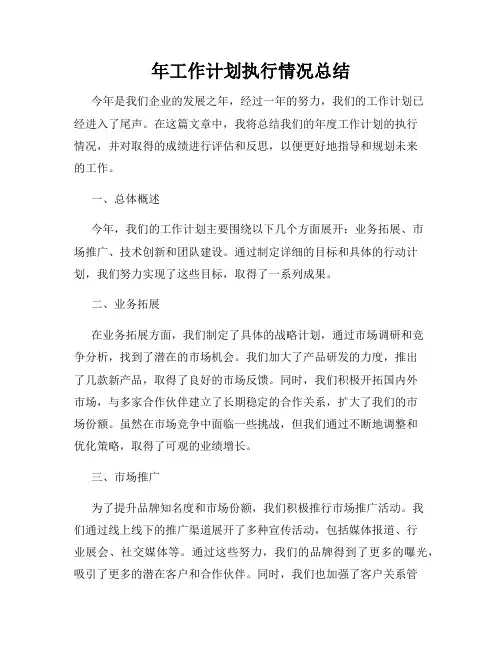 年工作计划执行情况总结