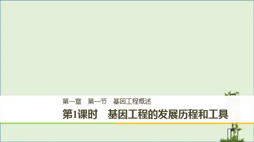 第1课时基因工程的发展历程和工具