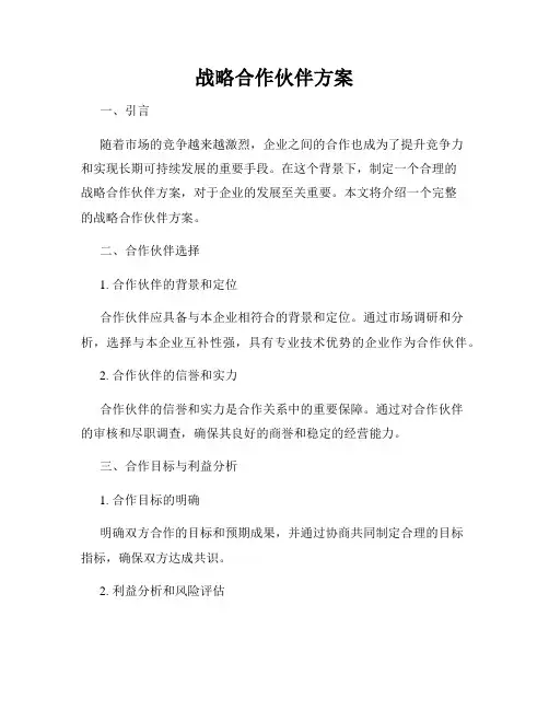 战略合作伙伴方案